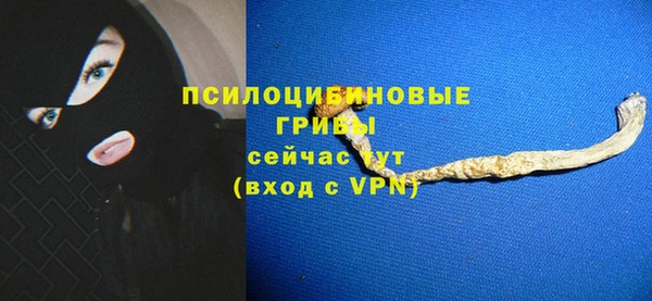 МДПВ Арсеньев