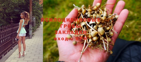 МДПВ Арсеньев