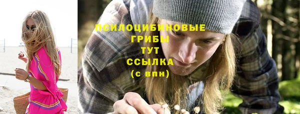 МДПВ Арсеньев